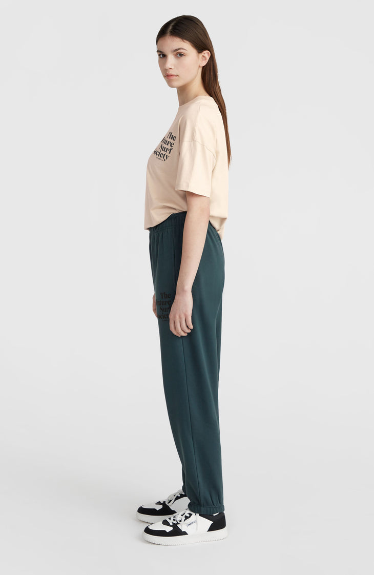 Future Surf Society Jogginghose | Alma Steel