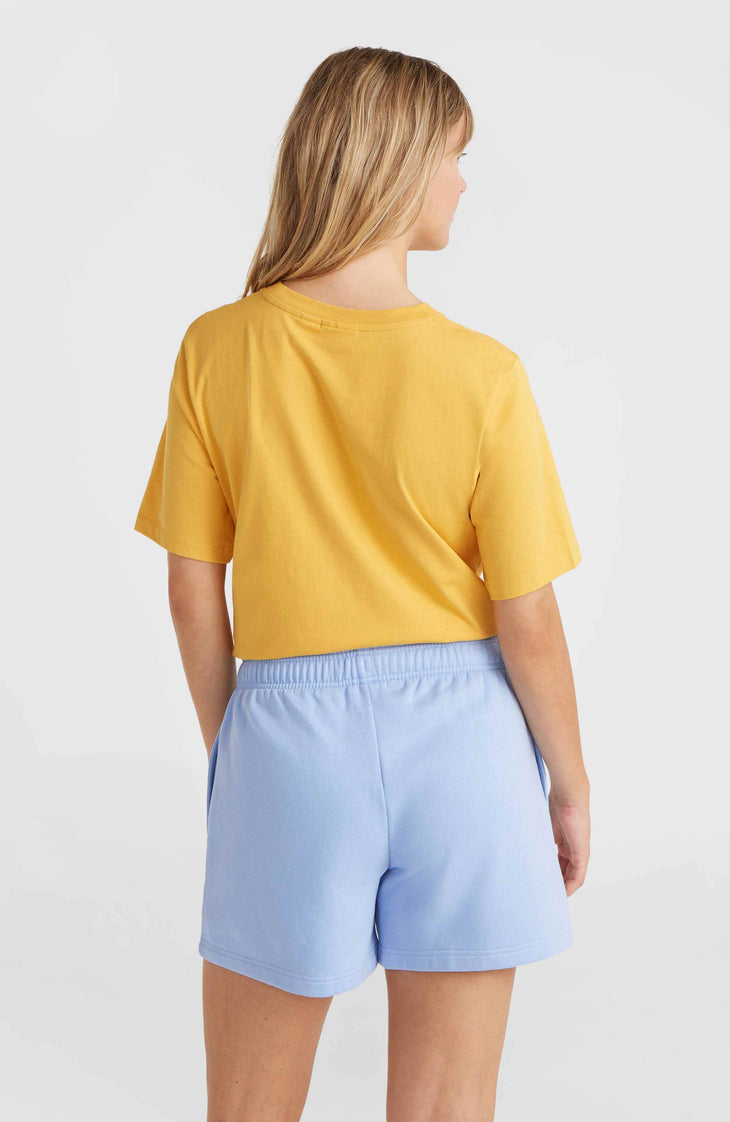 Future Surf Society Shorts | Melody Blue