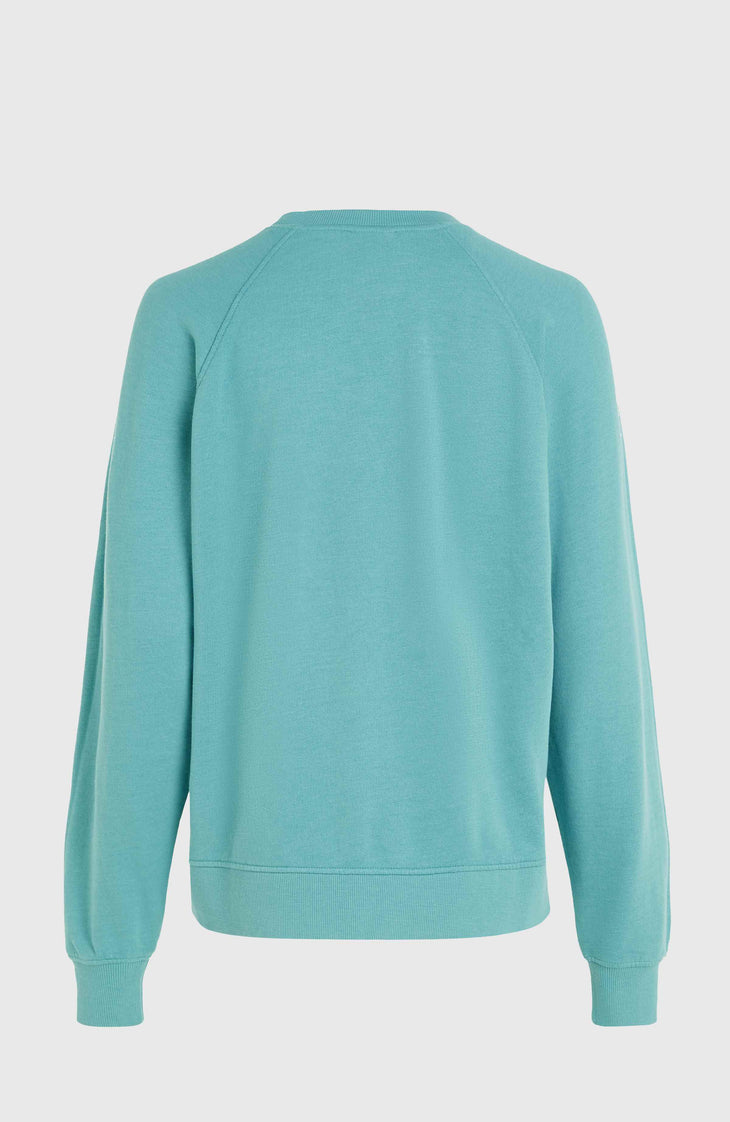 O'Neill Beach Vintage Crew Sweatshirt | Ripling Shores