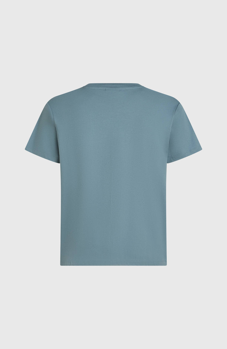 O'Neill Must-Have T-Shirt | Murky Water