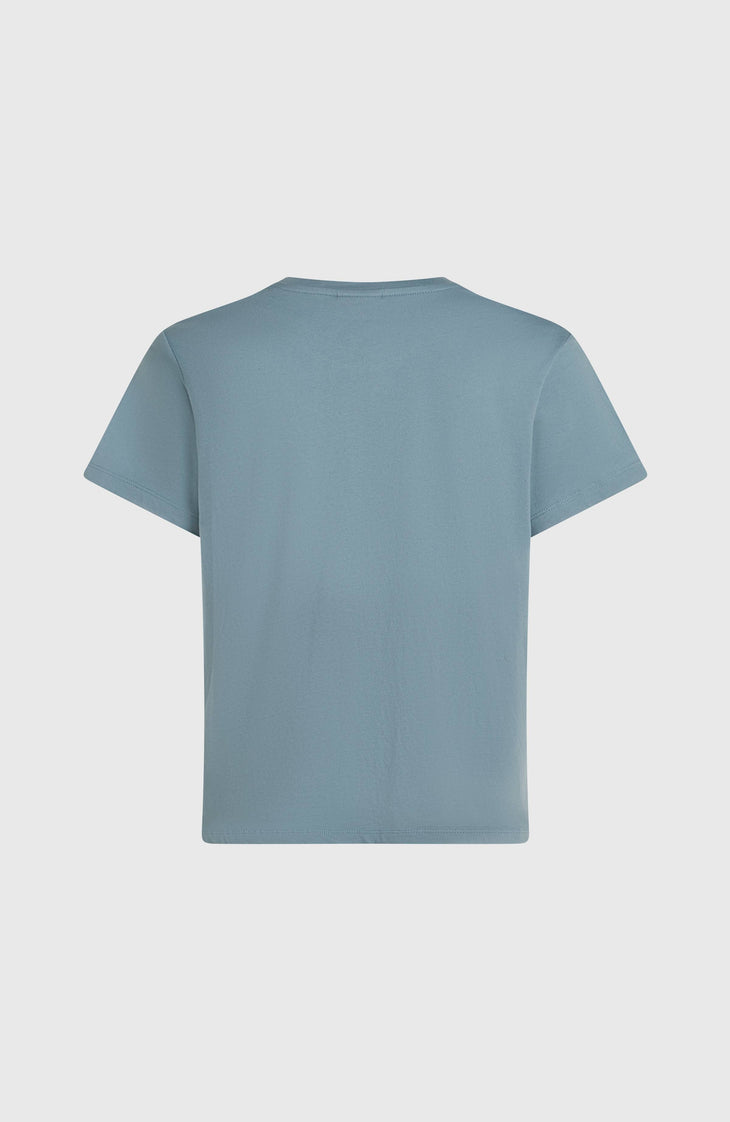 O'Neill Graphic T-Shirt | Murky Water