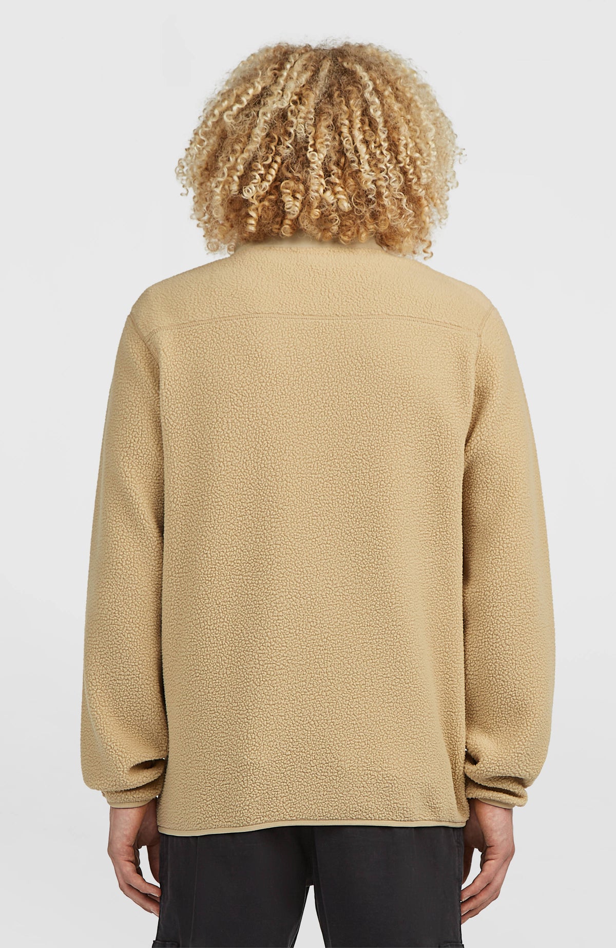 Flauschige Must-Have Fleecejacke für Herren, beige, Rückansicht am Model