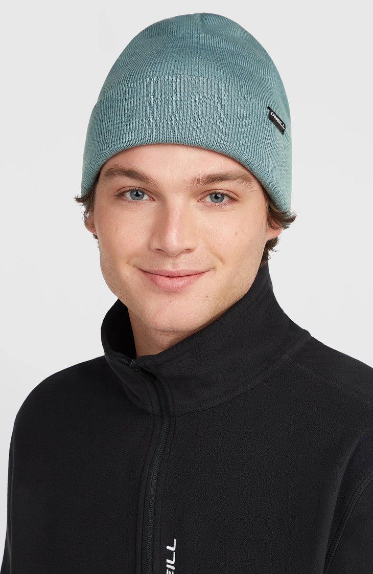 Dolomite Beanie | Murky Water