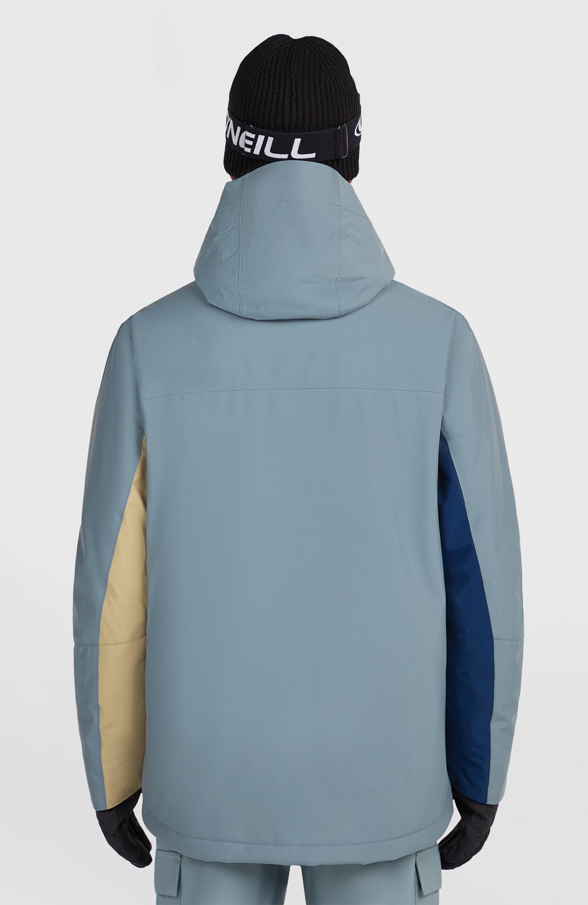 FWC'Cruz Triple Skijacke für Herren, blau, Rückansicht am Model