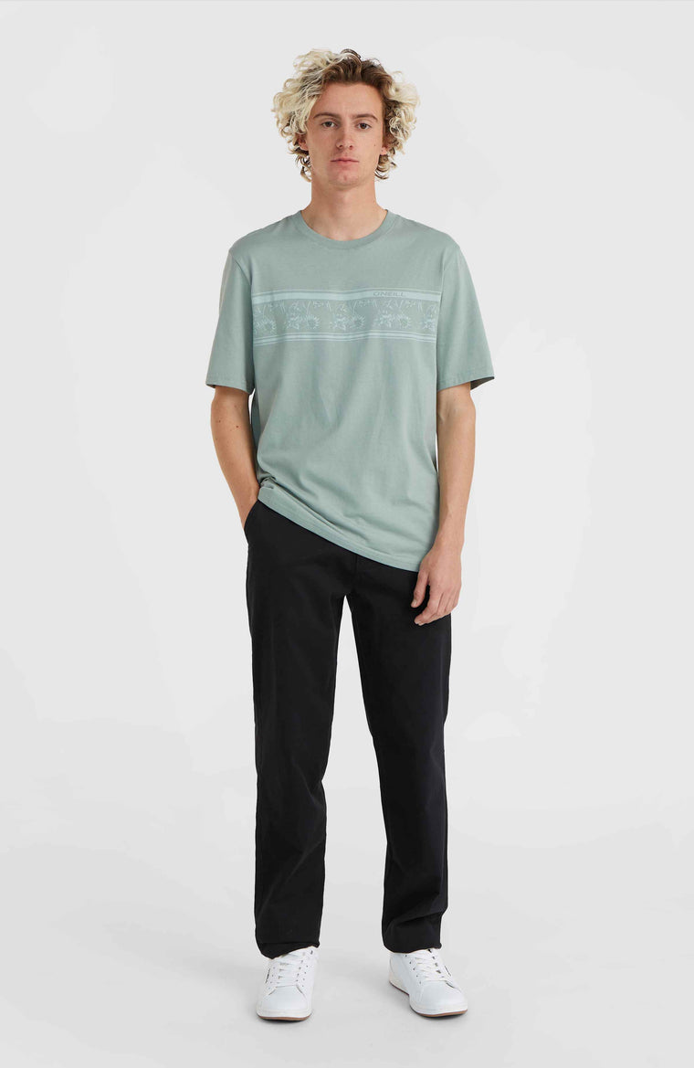 Essentials Chino-Hose | Raven Essentials Chino-Hose | Raven