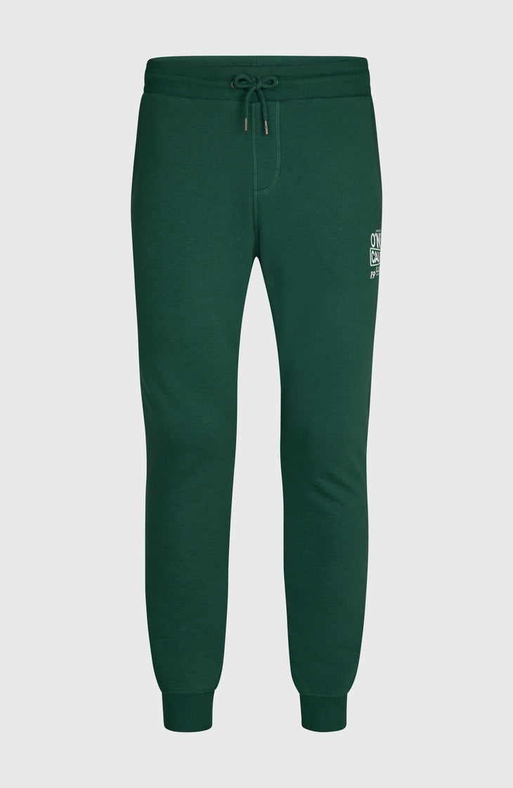 O'NEILL CALI SWEATPANTS | Emerald Envy