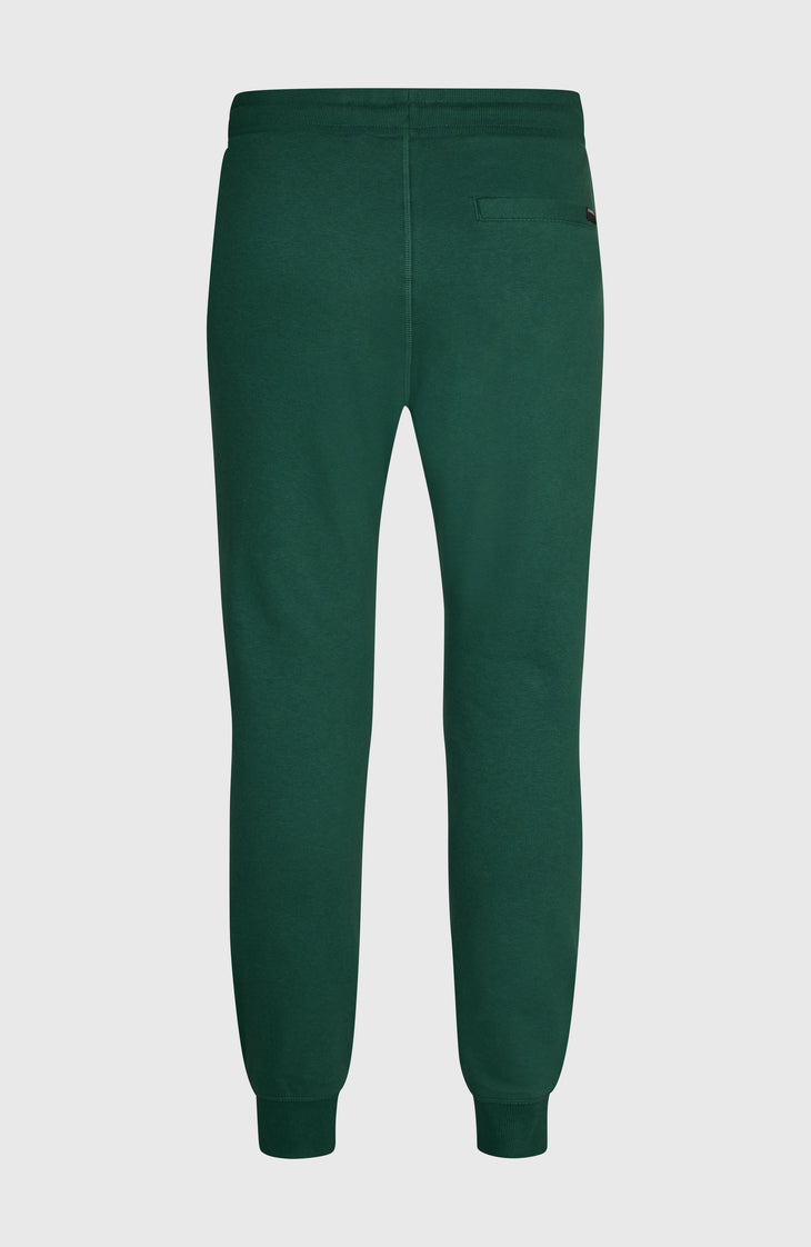 O'NEILL CALI SWEATPANTS | Emerald Envy