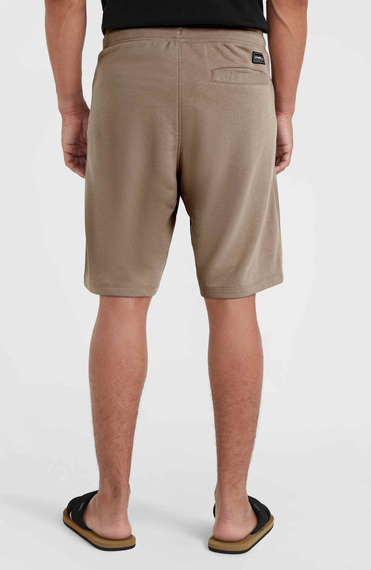 O'Neill Logo Sweatshorts | Pumpkin Smoke
