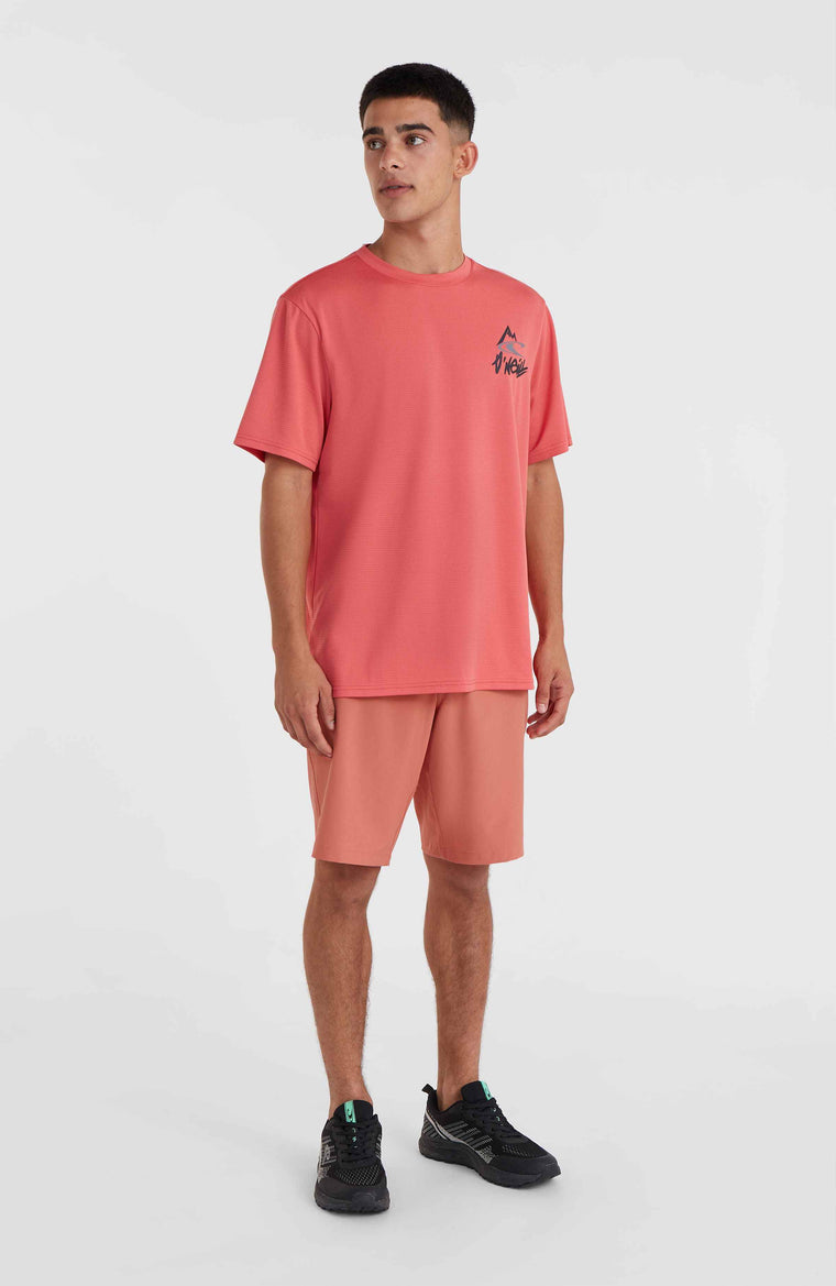 O'Neill Hybrid Chino-Shorts | Red Orcher O'Neill Hybrid Chino-Shorts | Red Orcher
