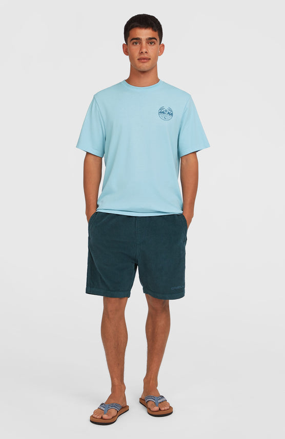 O'Neill Cord-Shorts für Herren, blau, Vorderansicht, getragen am Model