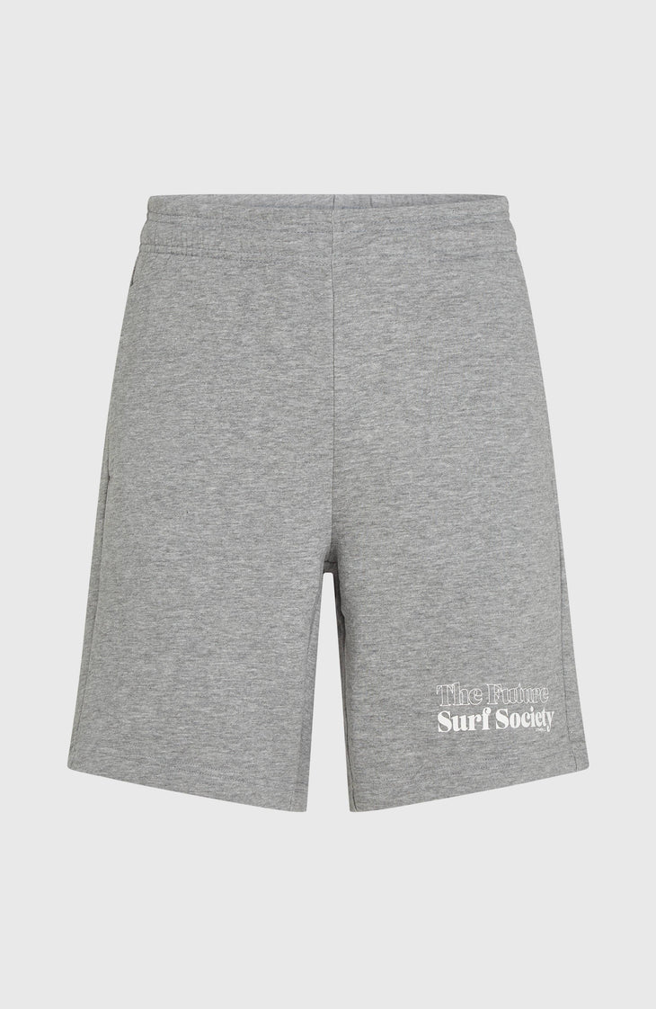 Future Surf Society Shorts | Silver Melee