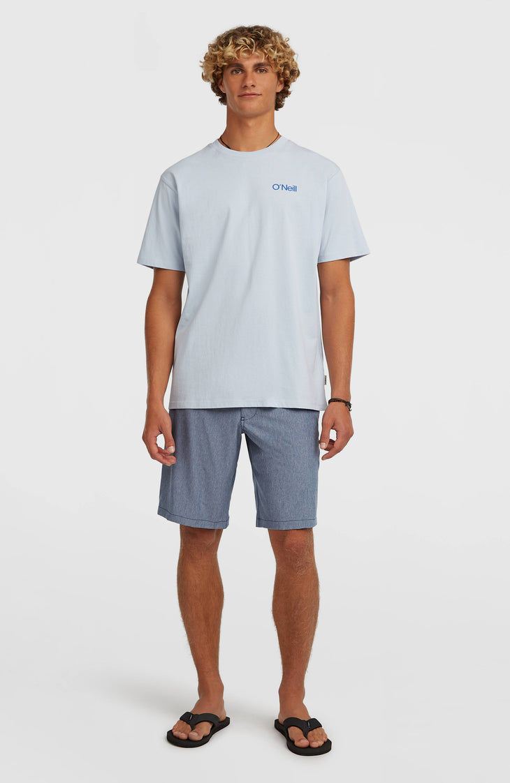 Hybrid 19" Melange Shorts | English Evening