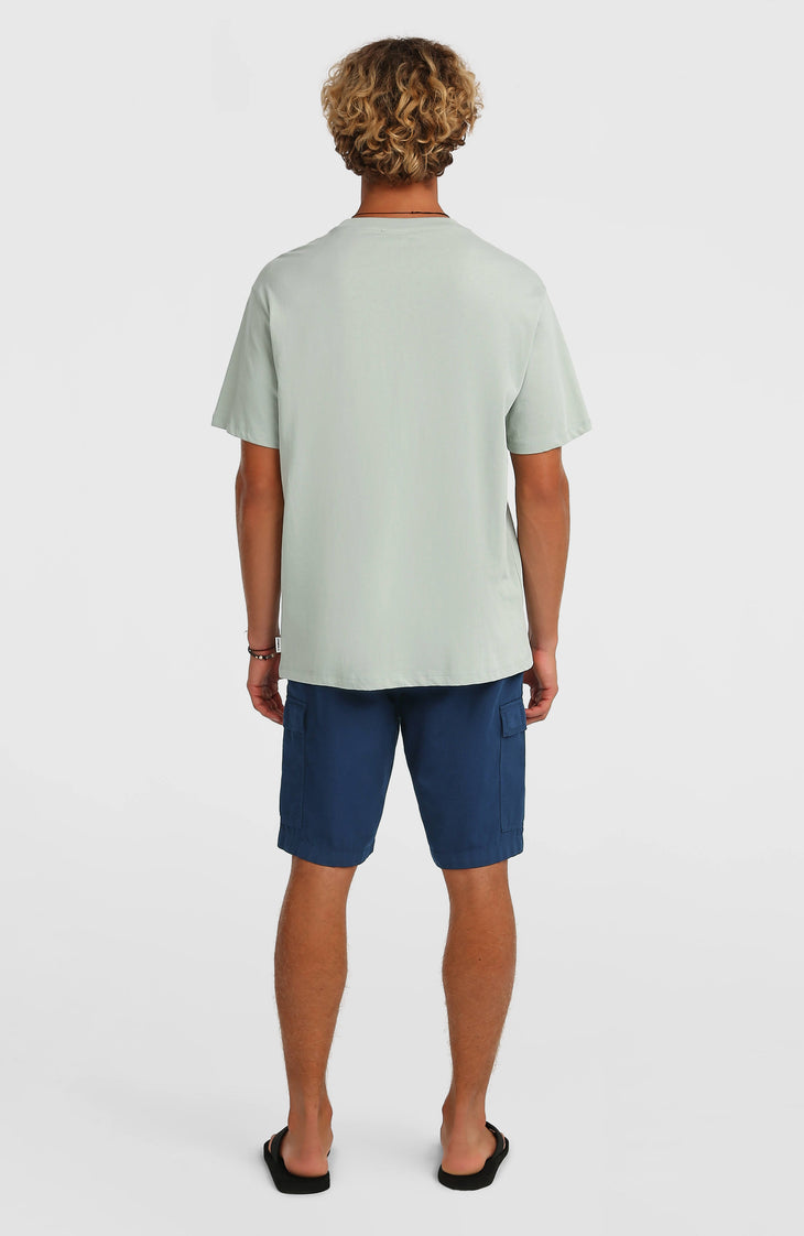 O'Neill Essentials Ripstop Cargo-Shorts | English Evening