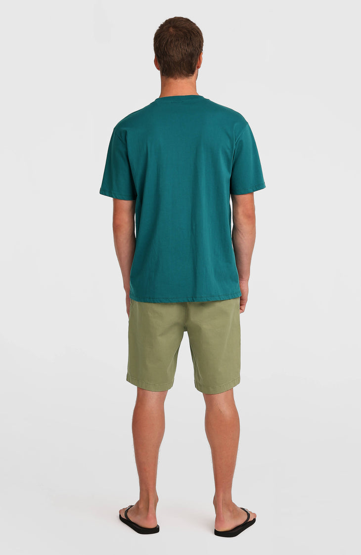 Essentials Chino-Shorts | Avery Fern