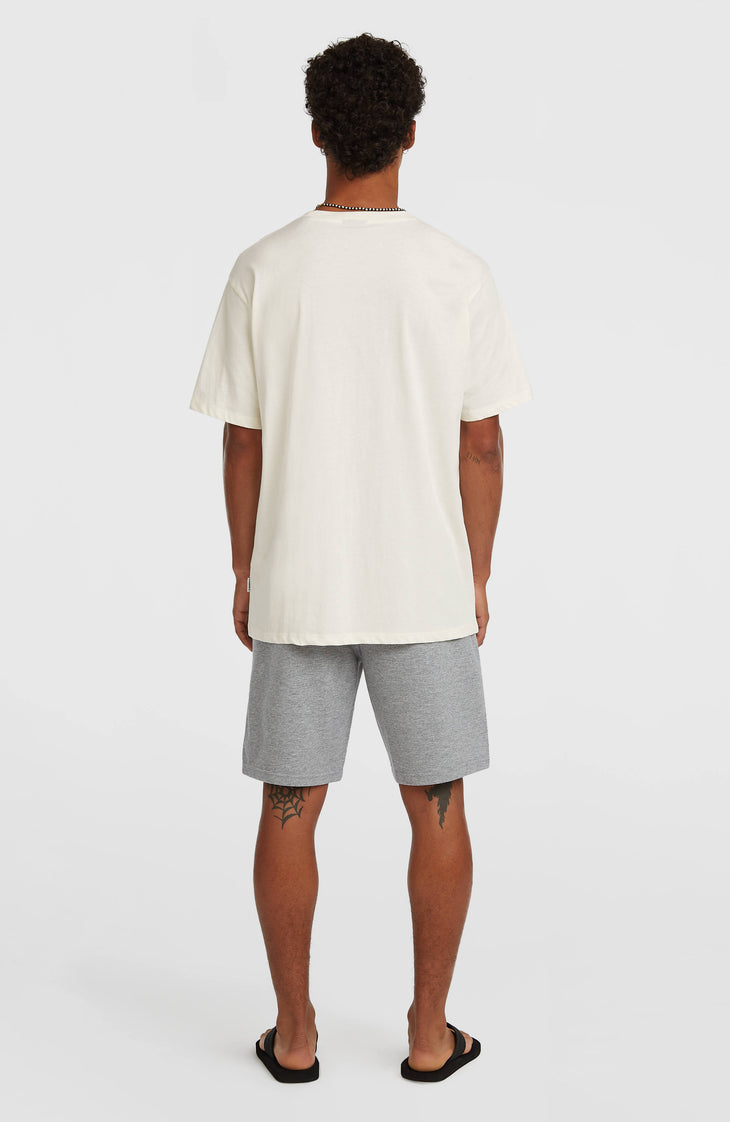 O'Neill Small Logo Sweatshorts | Silver Melee