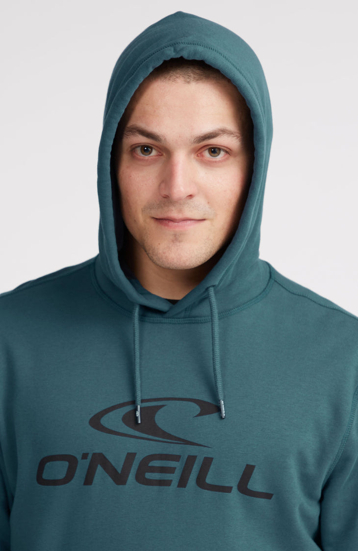 Logo Hoodie | Alma Steel
