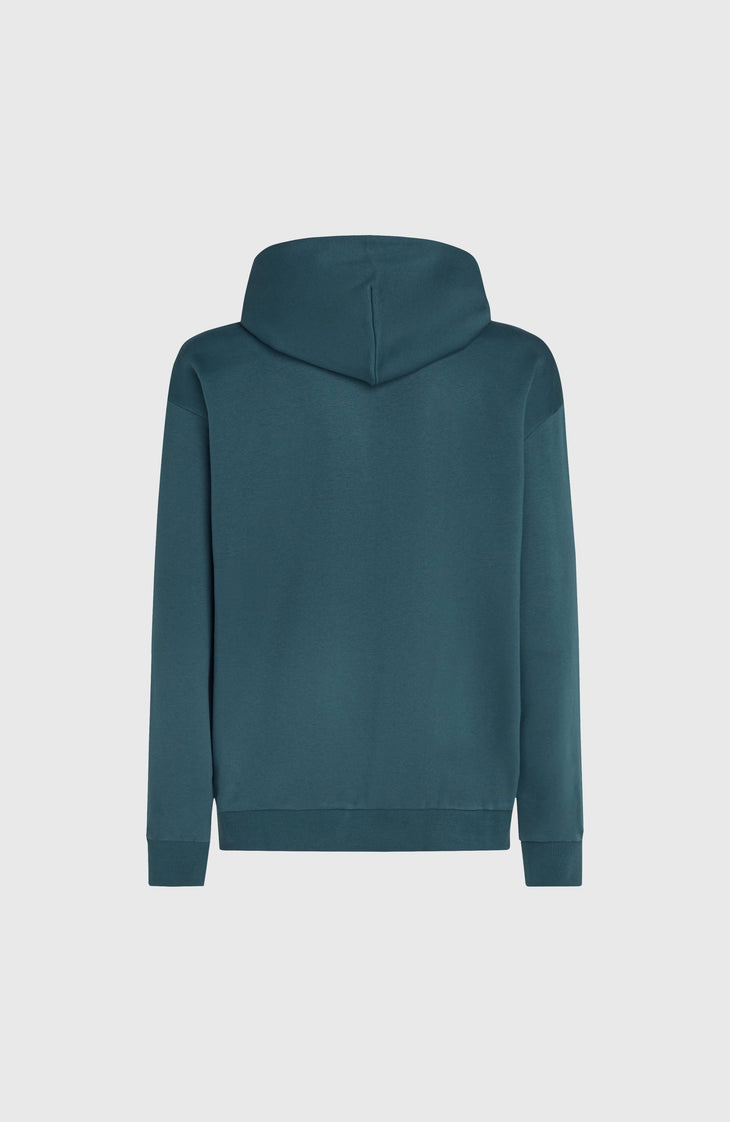 Future Surf Society Hoodie | Alma Steel