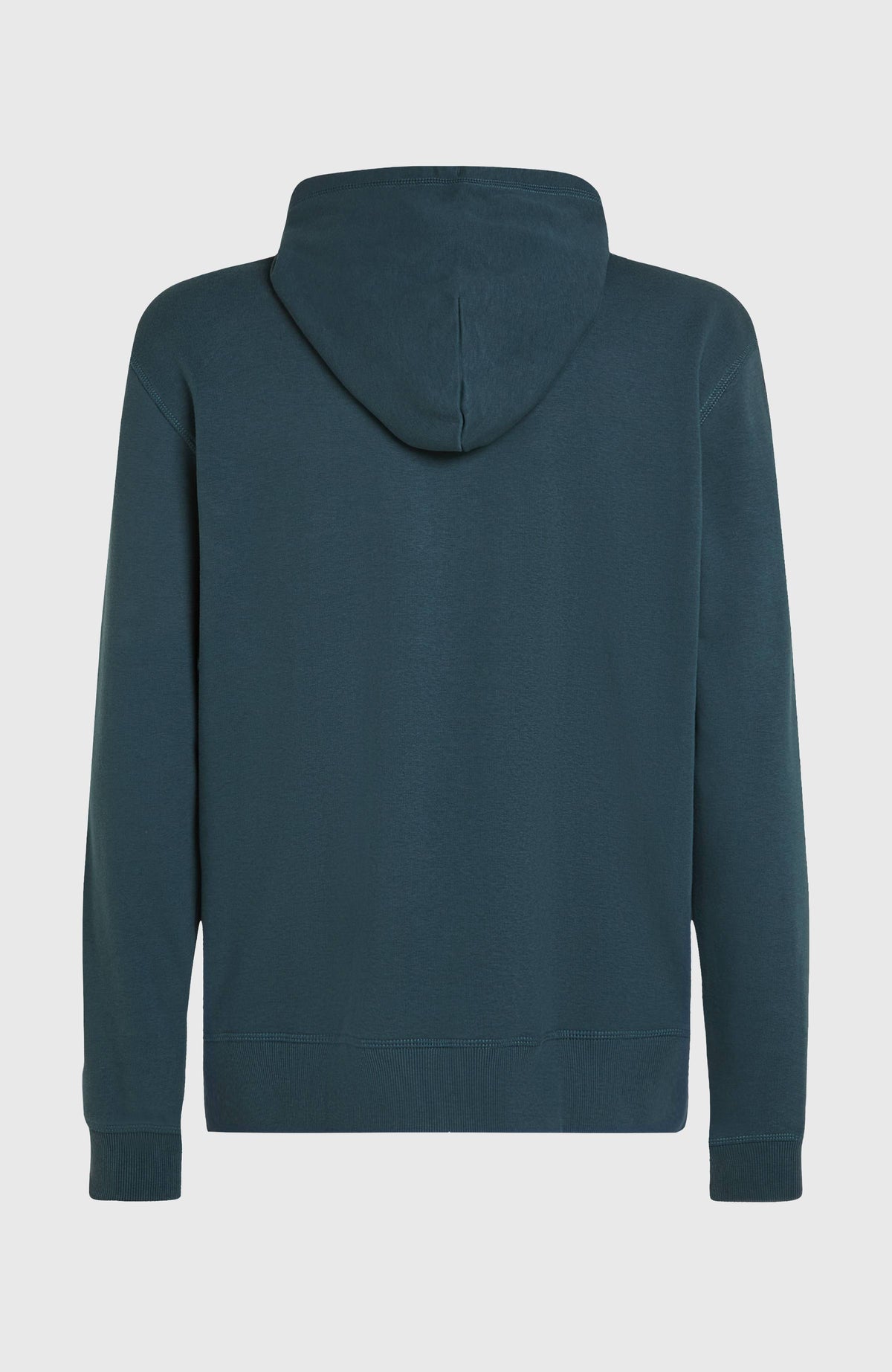 Logo Hoodie für Herren, blau, freigestellt von hinten mit Kapuze und elastischem Rippstricksaum