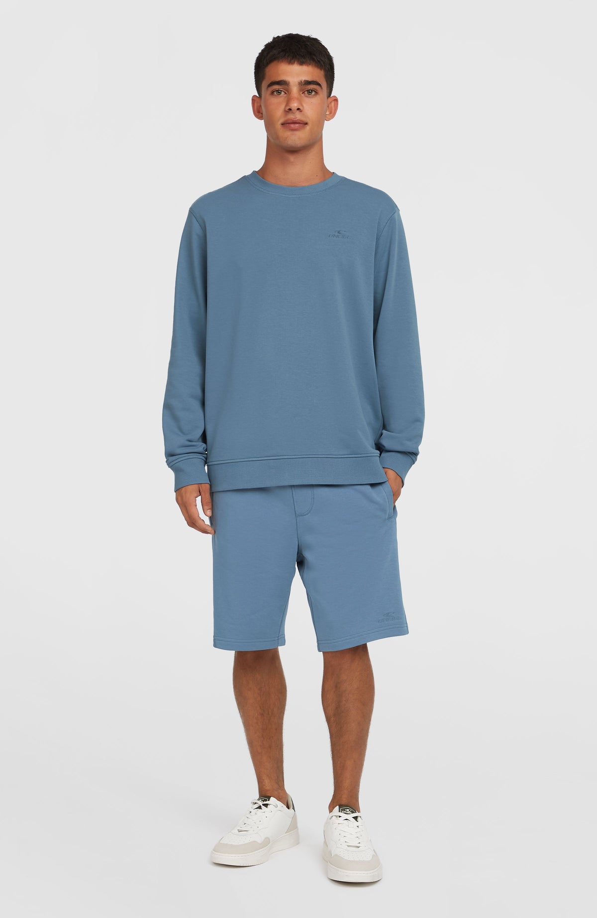 Blaues Logo Crew Sweatshirt für Herren, Ganzkörperansicht von vorne am Model