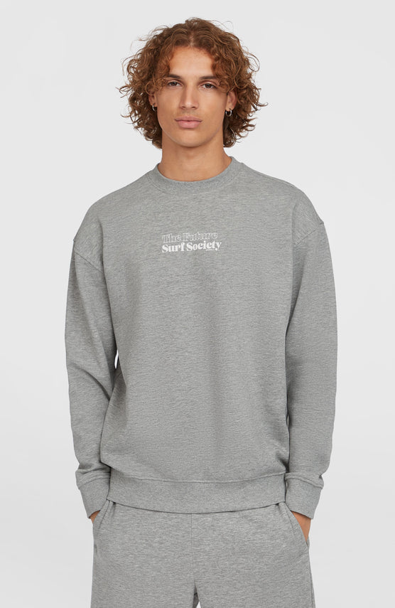 Future Surf Crew Sweatshirt | Silver Melee