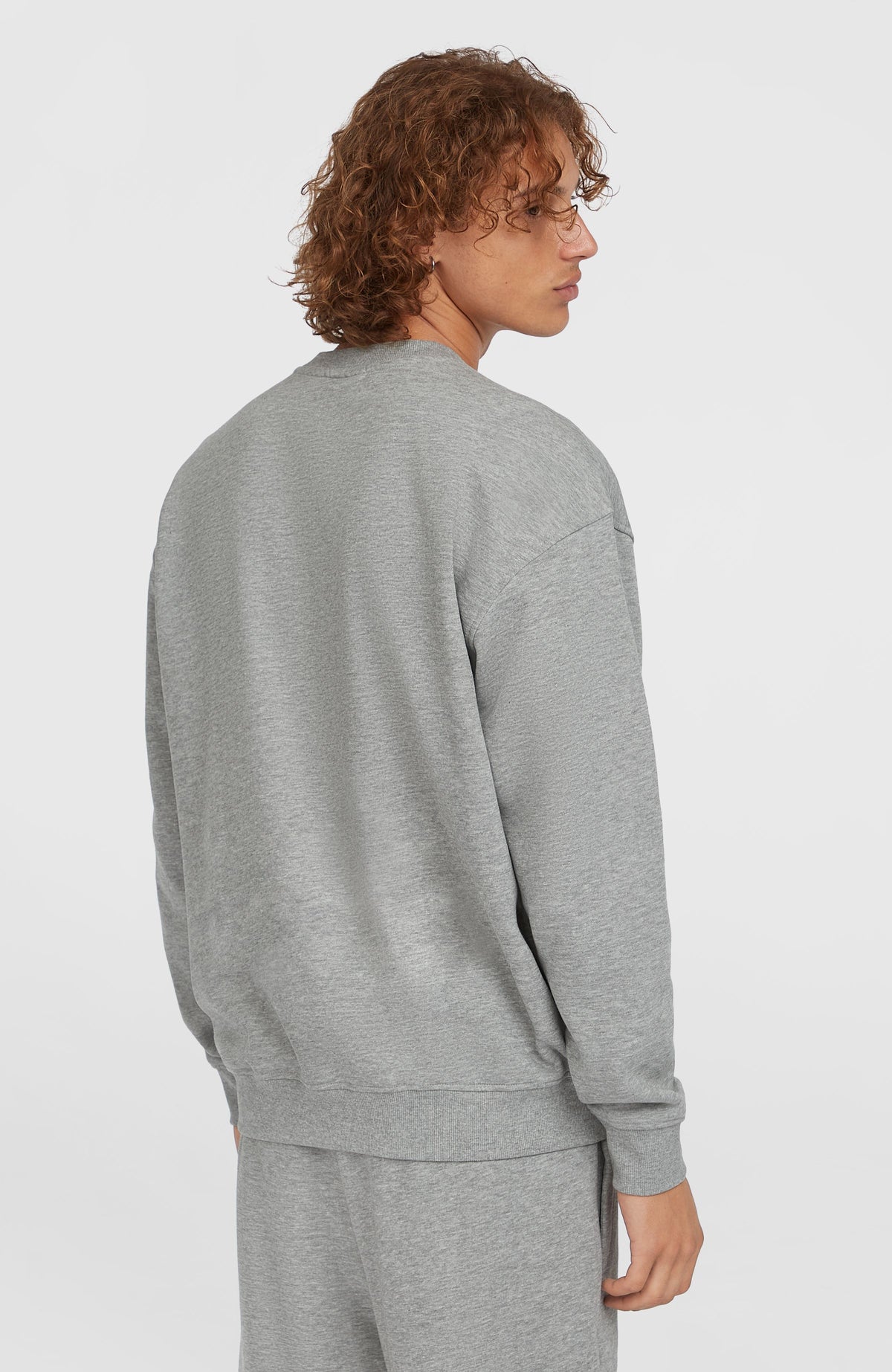 Future Surf Society Crew Sweatshirt für Herren, grau mit Logo-Print in Weiß, Rückansicht am Model mit Rippsaum