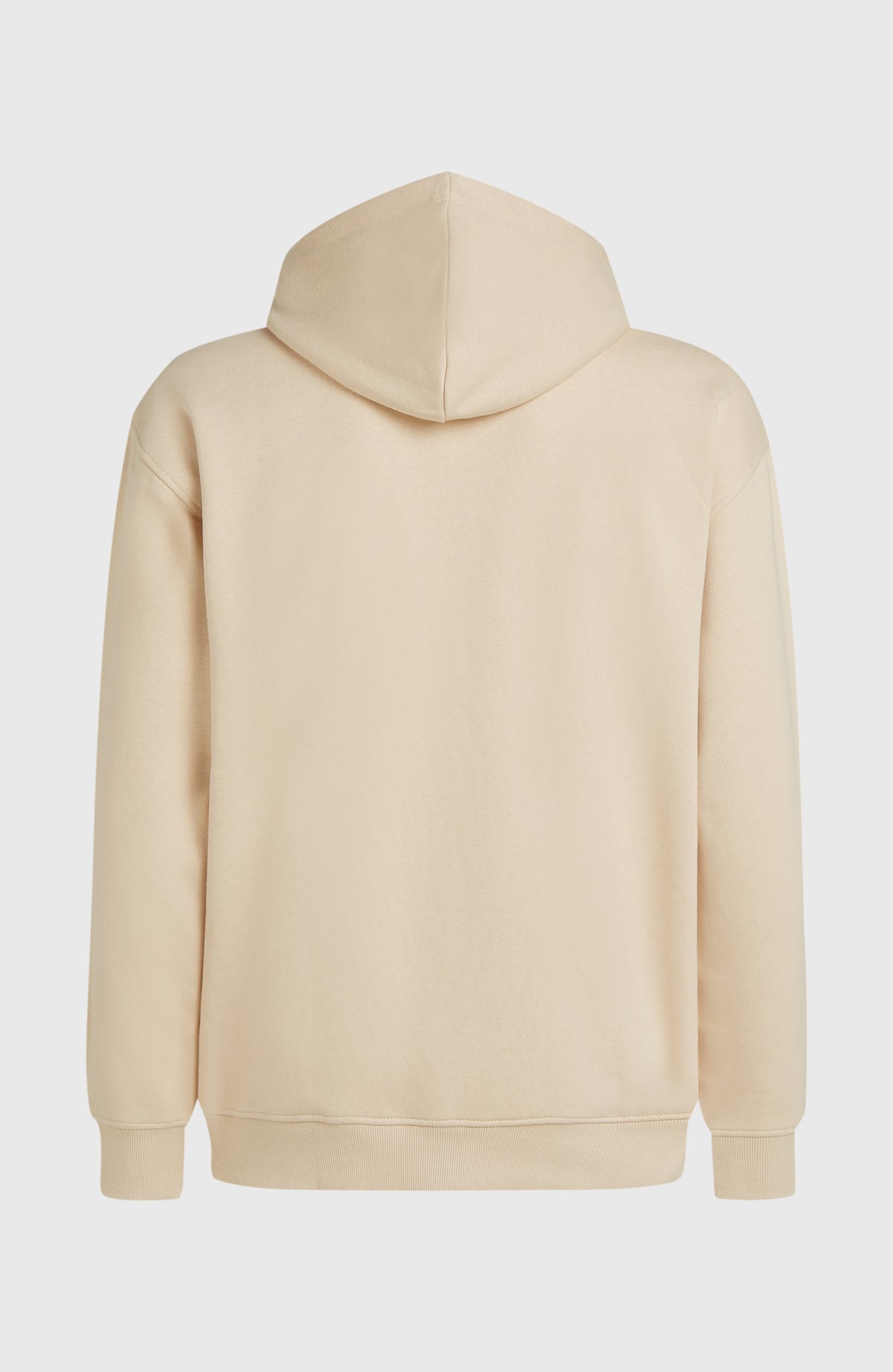 Future Surf Society Hoodie für Herren, beige, freigestellt von hinten mit Kapuze