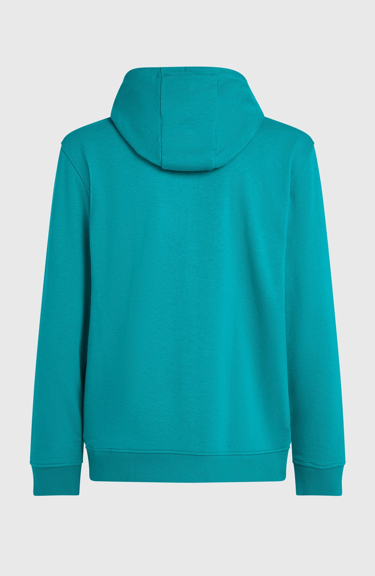 Graphic Hoodie für Herren, blau, freigestellt von hinten mit Kapuze und elastischem Saumbündchen