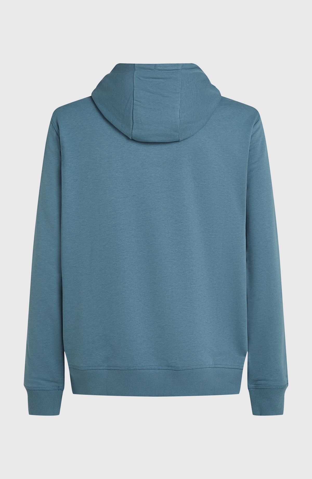 Small Logo Hoodie für Herren, blau, freigestellt von hinten mit Kapuze und geripptem Saum