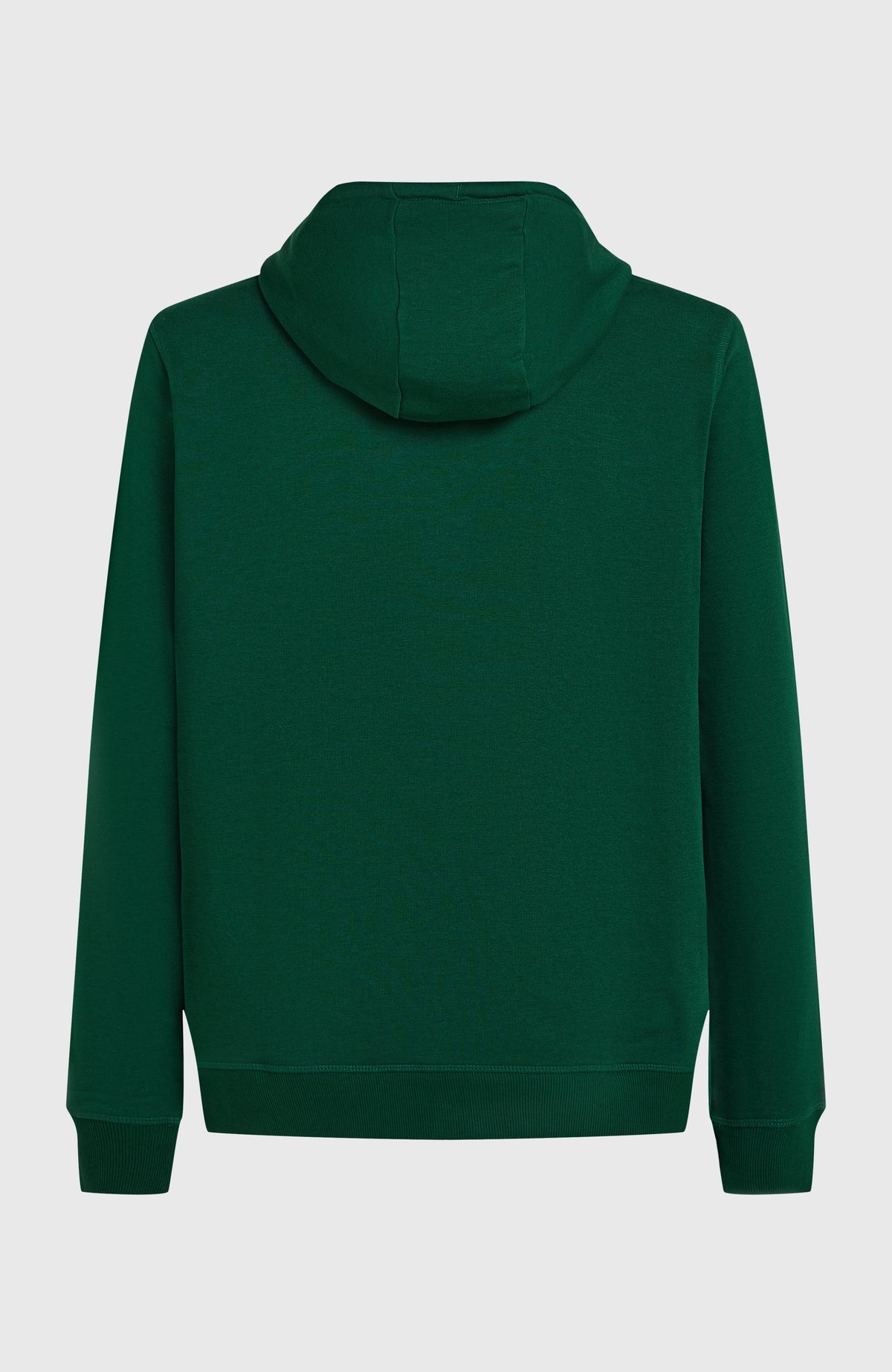 Small Logo Hoodie für Herren, grün, freigestellt von hinten mit Kapuze