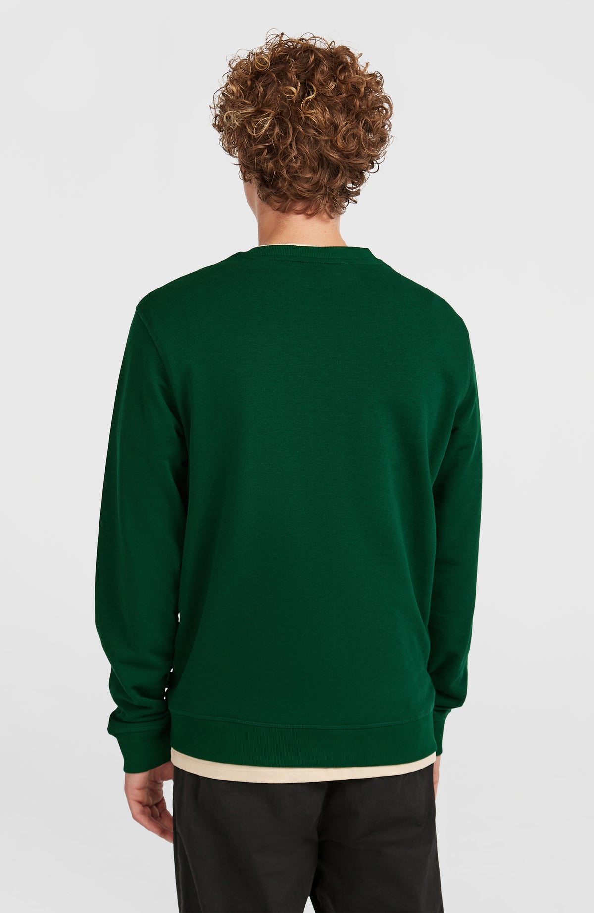 Small Logo Crew Sweatshirt für Herren, grün, Rückansicht mit geripptem Saum, getragen am Model
