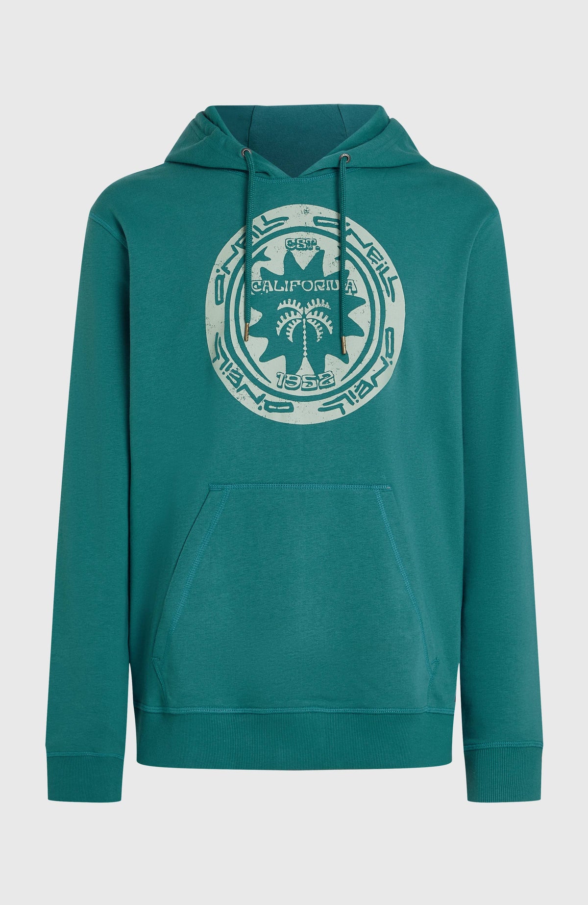 Must-Have Graphic Hoodie für Herren, grün mit Kängurutasche und Logo-Print in Hellgrün, freigestellt von vorne