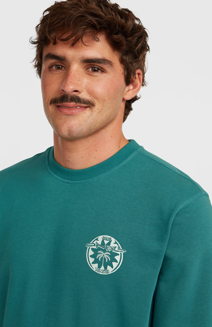 O'Neill Must-Have Graphic Crew Sweatshirt | Botanical Heat