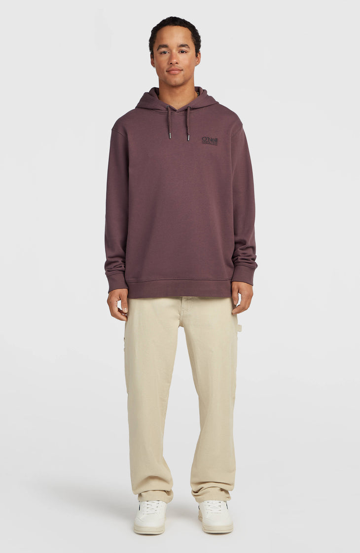 O'Neill Cali Hoodie | Purple Gray