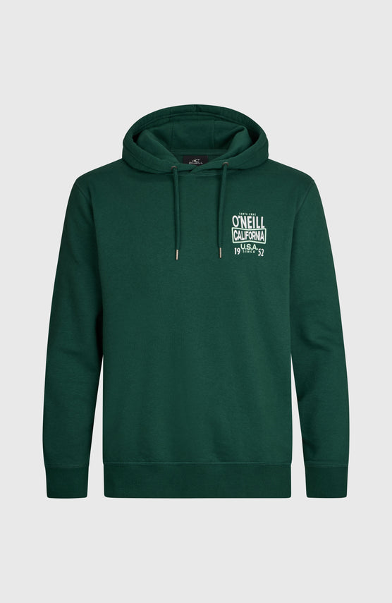 O'NEILL CALI HOODIE für Herren, grün mit Logo-Print in Weiß, freigestellt von vorne mit Kordelzug an der Kapuze