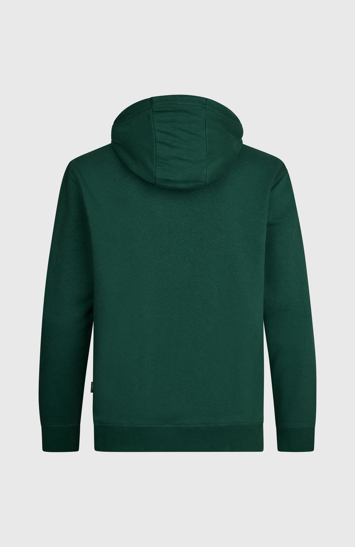 O'NEILL CALI HOODIE | Emerald Envy