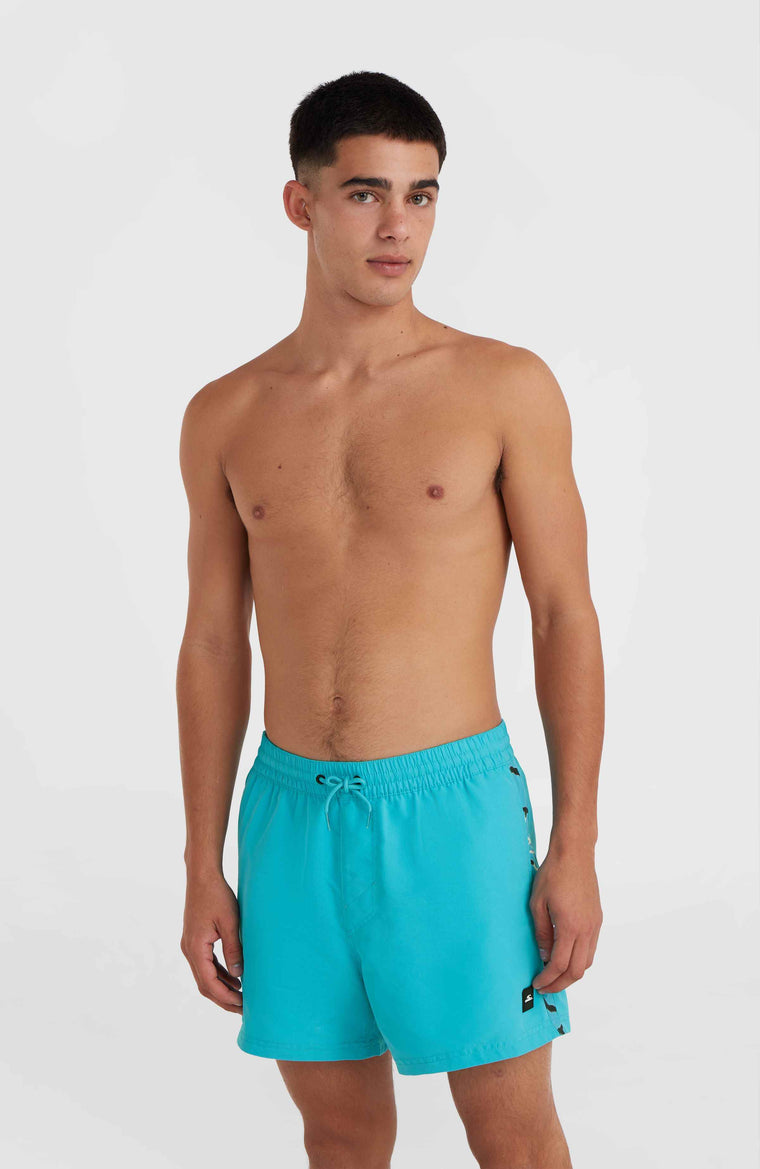 Jack O'Neill Vert 14'' Badehose | Neon Blue Jack O'Neill Vert 14'' Badehose | Neon Blue