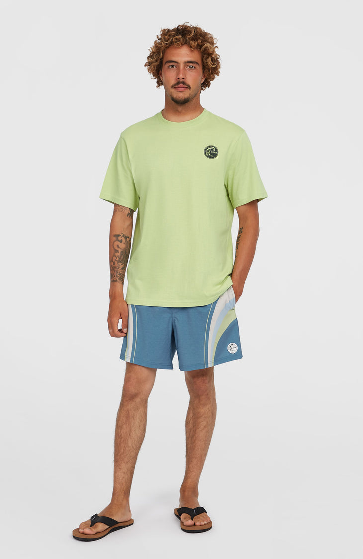 O'Riginals Longboard 15'' Badehose | Blue Originals Stripe