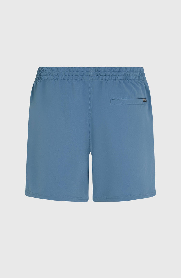 Cali Block 15'' Badehose | Blue Dipped Leaves