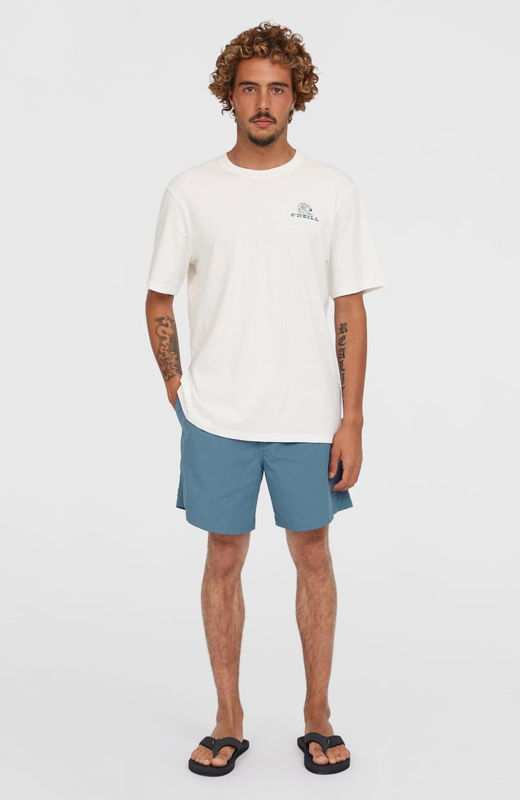 O'Neill Vert 16'' Badehose | Copen Blue