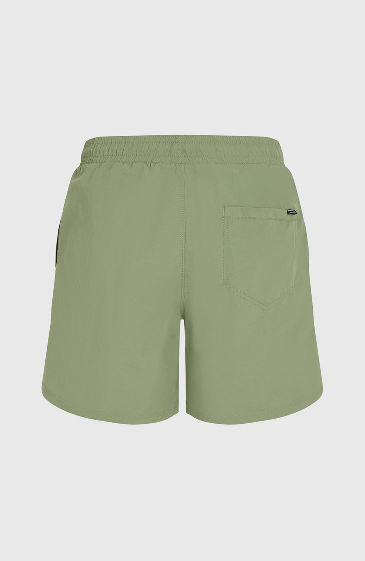 O'Neill Vert 16'' Badehose | Avery Fern