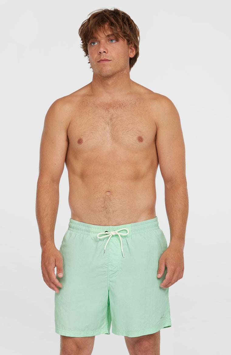 O'Neill Vert 16'' Badehose | Mildrew Mint O'Neill Vert 16'' Badehose | Mildrew Mint