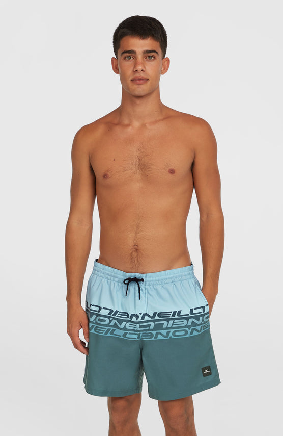 Cali Stripe 16'' Badehose | Blue Upside Down
