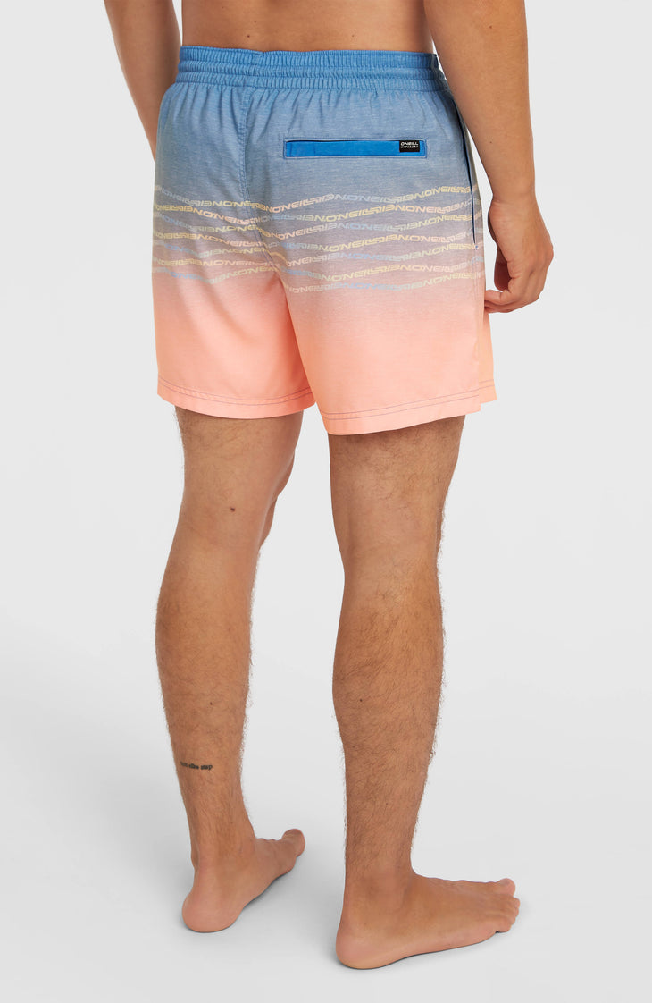O'Neill First 15'' Badehose | Blue Heritage O'Neill Flip