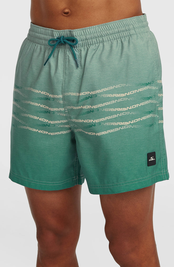 O'Neill First 15'' Badehose | Green Heritage O'Neill Flip