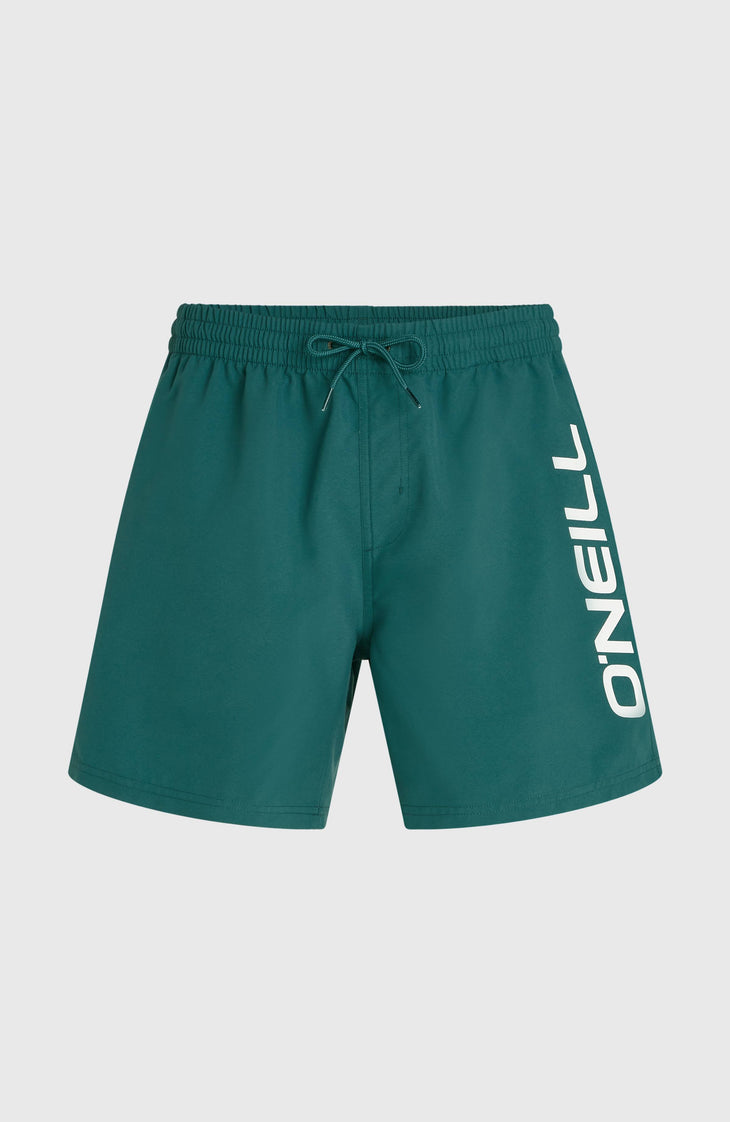 O'Neill Logo 16'' Badehose | Botanical Heat