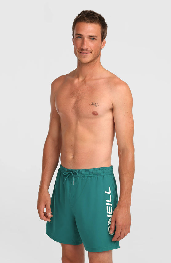 O'Neill Logo 16'' Badehose | Botanical Heat