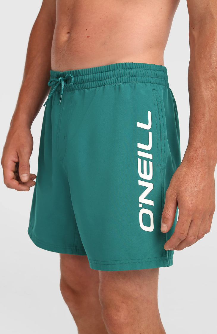 O'Neill Logo 16'' Badehose | Botanical Heat