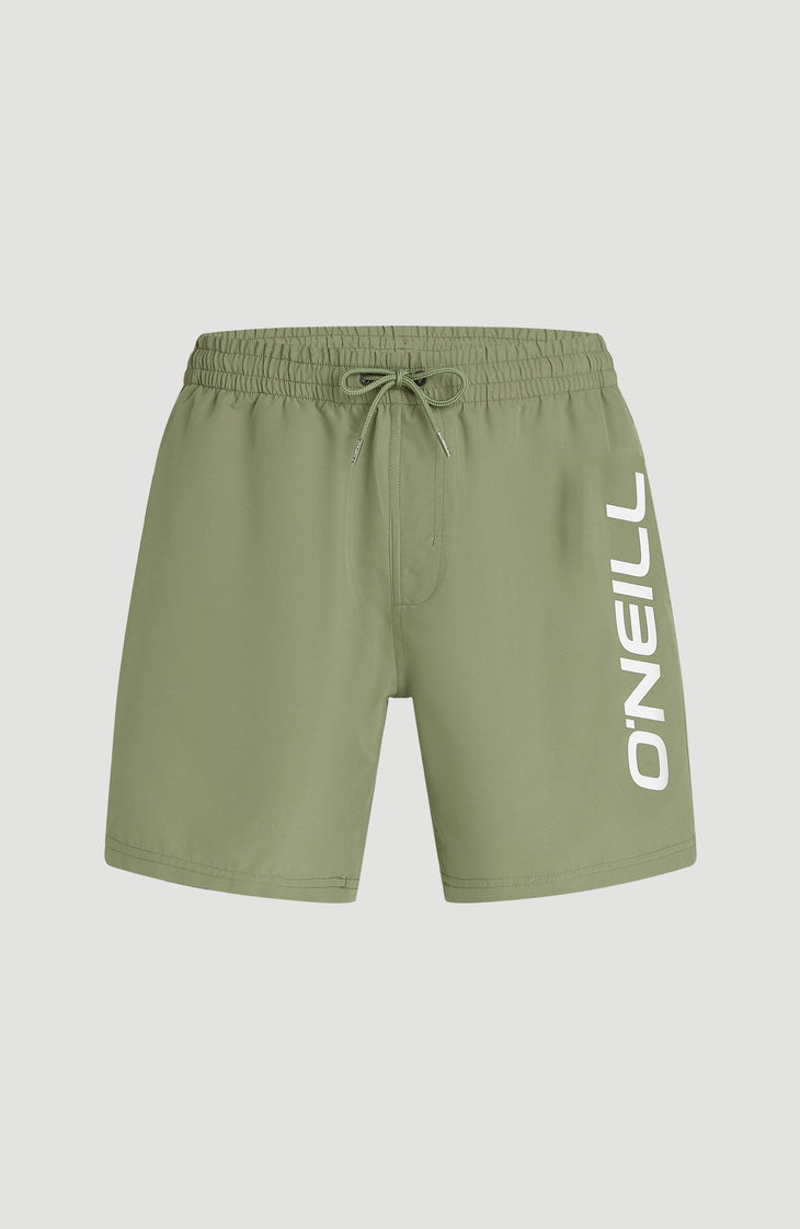 O'Neill Logo 16'' Badehose | Avery Fern