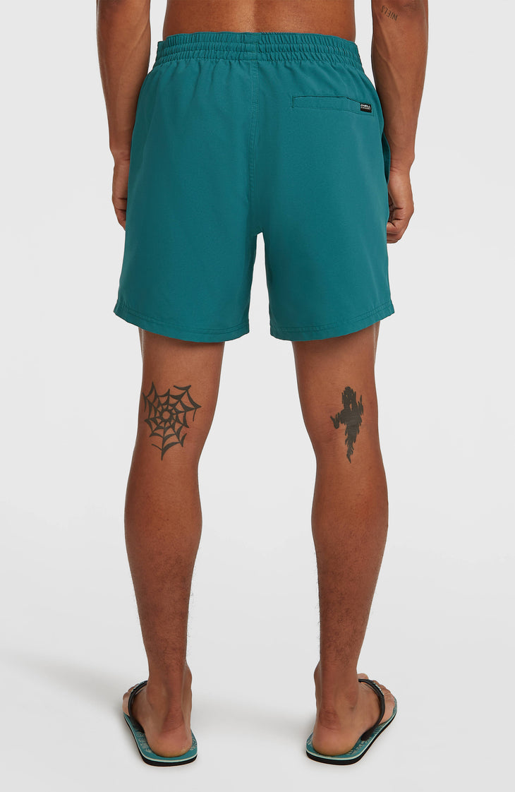 O'Neill Cali 16'' Badehose | Botanical Heat