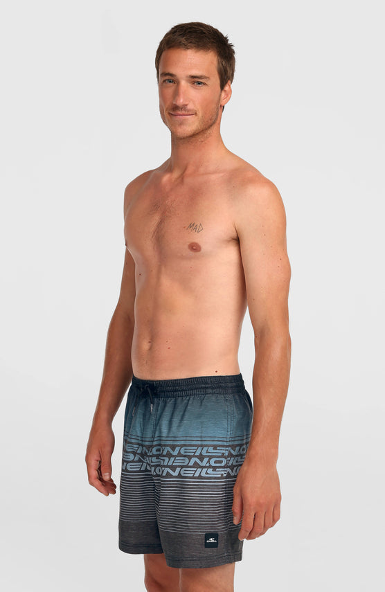 Logo Stipe 16'' Badehose | Black Out Heritage O'Neill Stripe